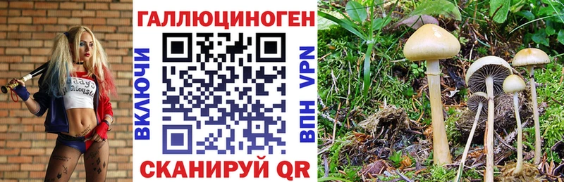Купить где  Сураж  Галлюциногенные грибы ЛСД 